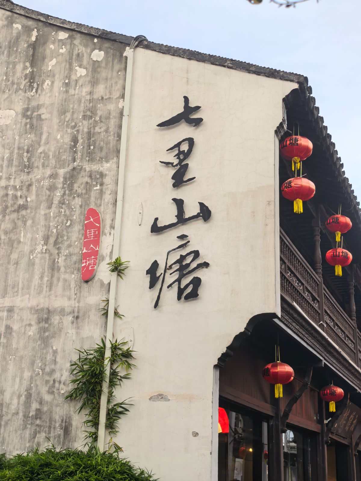 吴婷